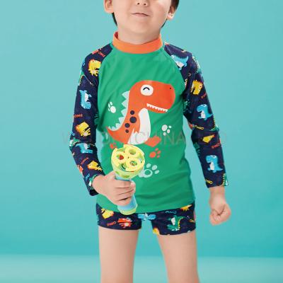 China Rash Guard UPF 50 Kid Boy Kid Swimwear Two Piece Anti-UV Anti-UV Beach Wear With Dinosaur Print for sale