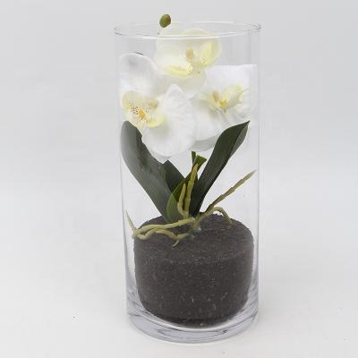 China Fashional New Artificial Flower Design Home Decoration Artificial Flower White Orchid With Glass for sale