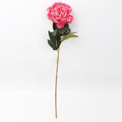 China Fashional NEW DESIGN artificial flower home and indoor decoration single stem 4 leaves artificial silk peony flower for sale