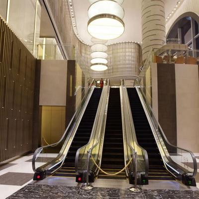 China Mechanical Home Residential Escalator Residential Escalator Inside Escalator Low Cost Escalator Price for sale