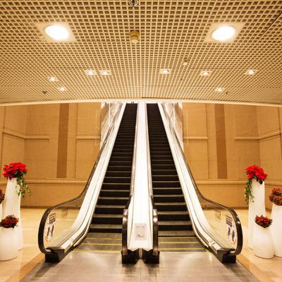 China Mall 30 35 Degree 600-1000mm Step Conai Indoor Commercial Escalator for sale