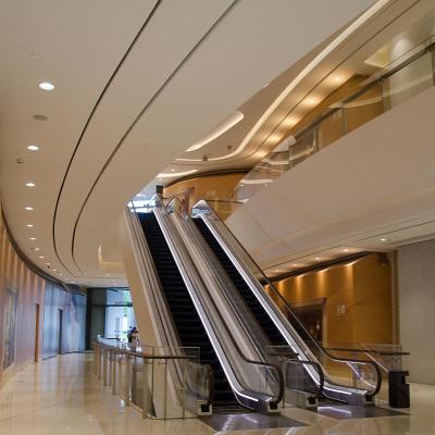 China Modern professional manufacturer escalator price used commercial escalators for sale for sale