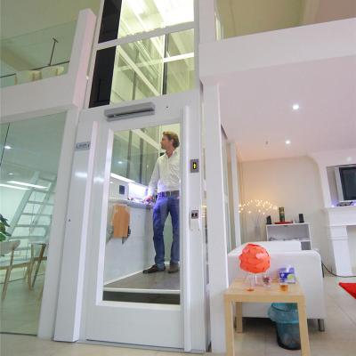 China China Elderly And Disabled Home Suppliers Used Home Elevators Small Elevator for sale