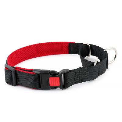 China Economic DETACHED Custom Design Martingale Padded Nylon Dog Collar With Safety Buckle for sale