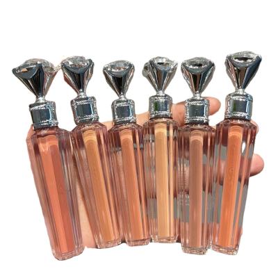 China LipMakeup Wholesale Lady Diamond Lip Gloss Tube 52 Colors Silver Private Label Lip Gloss Nude Gold Lip Gloss for sale