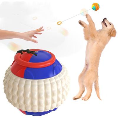 China Sustainable Amazon's Most Popular Molars Gnawing Dog Hand Throwing Training Ball for sale