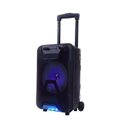 China Colorful LED Light Plastic Aoxin Amazone 8 Inch Karaoke Disco LED Light Trolley Portable Wireless BT Speakers for sale