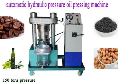 China commercial automatic sesame/olives/Cocoa beans oil pressing machine use 150 Mpa hydraulic pressure for sale