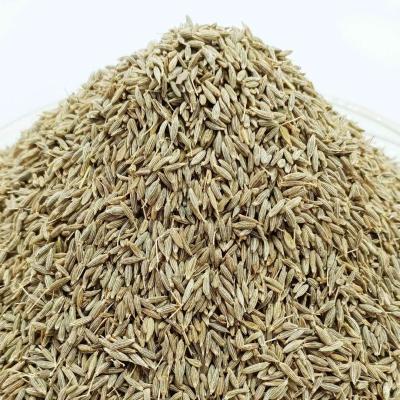 China Dry Natural Cumin Seeds Quality Spice Herb Top Selling Price for sale