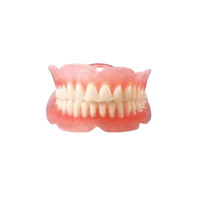 China Dental Regional Wholesale Custom Higher Quality Teeth Plates Denture Teeth Teeth Model for sale