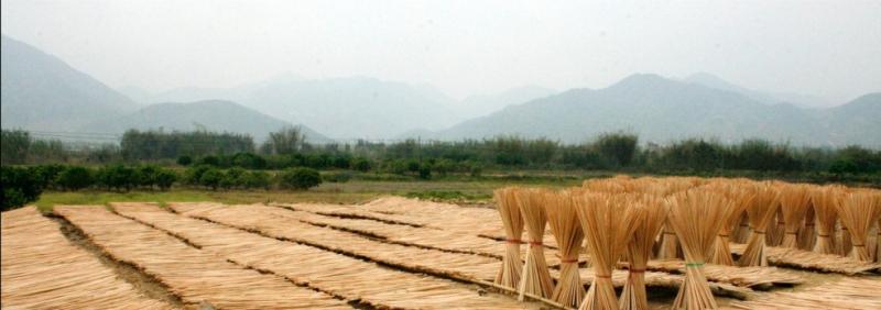 Verified China supplier - Longmen Senbohui Wooden Products Limited