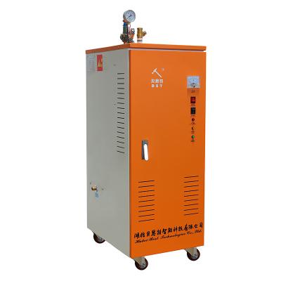 China Beiste industrial VERTICAL lab 36kw 48kwelectric steam generator laundry boiler machine 5 buyers for sale