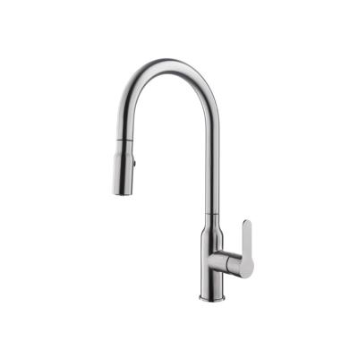 China Other High Standard 304 Stainless Steel Practical Modern Bathroom Kitchen Pull Down Faucet for sale