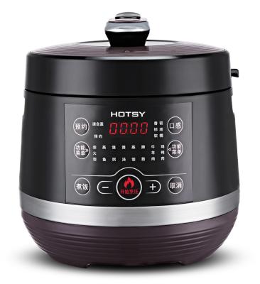 China Hotel 5L 6L Universal Electric Pressure Cooker Multi Pressure Cooker for sale