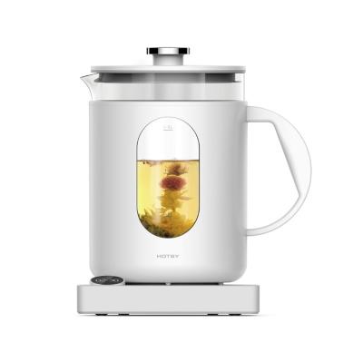 China 360 degree rotation base HOTSY hot water boiler and heater kettle doublewall teapot 2021 for sale