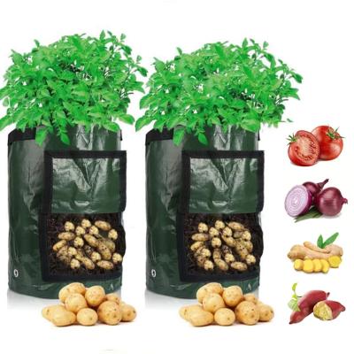 China 100% Eco-friendly Potato Grow Bag PE Vegetable Onion Plant Bag Poly With Handle Thickened Garden Carrot Taro Peanut Growing Bag for sale