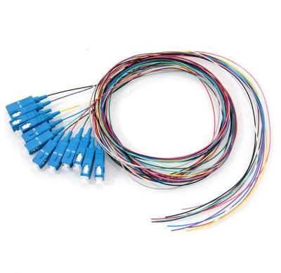 China FTTH FTTxFTTB Network High quality 12 Cores Sc upc Sc apc Ribbon Pigtail Fiber Optic Fan-out Fiber Optic Pigtail for sale