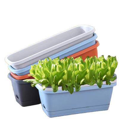 China Amazon CLASSIC Hot Selling Succulent Strawberry Potted Rectangular Plastic Flower Pot for sale