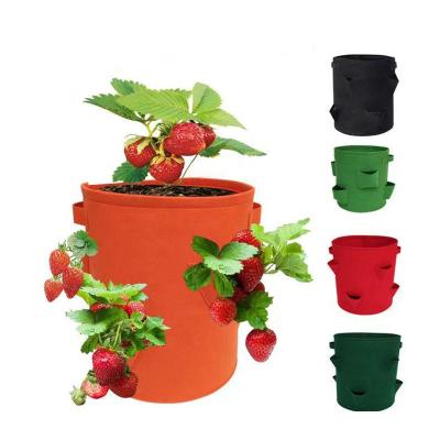 China Eco-Friendly Recycle Amazon Hot Selling Multi-port Felt Grow Bags Ventilated And Durable For Growing Strawberries for sale