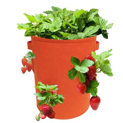 China Eco-Friendly Recycle Lourke Wholesale Strawberry Planting Bag 3 Pockets 3 Gallon Felt Planting Bag for sale