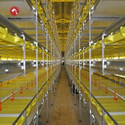 China Full Automatic Broiler Poultry Feed Used Automatic Chicken Broiler H Type Cage for sale