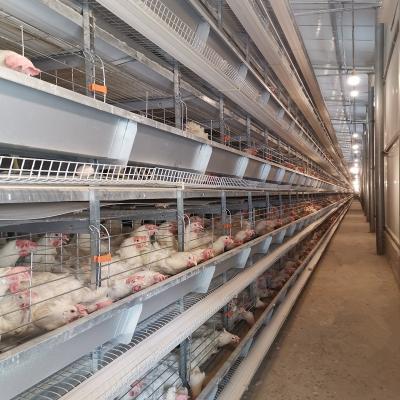 China Full Automatic Chicken Layer Cages China Factory H Type Automatic Galvanized Batter Chicken Cage Poultry Layer Cages For Africa Farm for sale