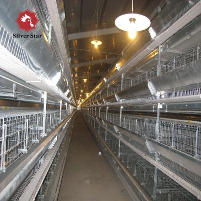 China Factory Sales Automatic Poultry Layer Cage Chicken Layer Cage Automatic Chicken Star Battery H Type Chicken Layer Cage for sale