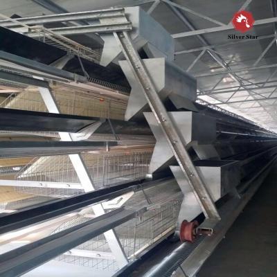 China Fully automatic automatic chicken bird cage / layer chicken cage for sale for sale