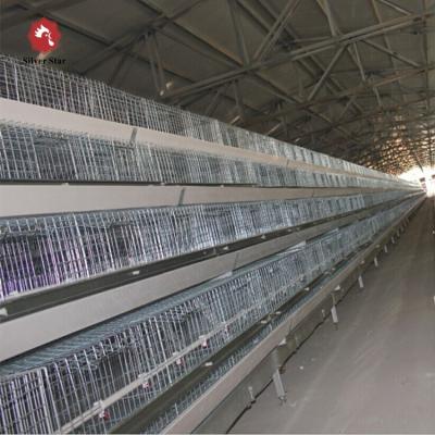 China Poultry Farm Equipment Hot Dip Galvanized Automatic A Type Broiler Chicken Cage For Sale for sale