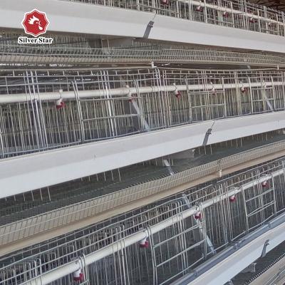 China Farms Poultry Farm Chicken Use One Layer Type Cage With Automatic Feeding Equipment In Africa for sale