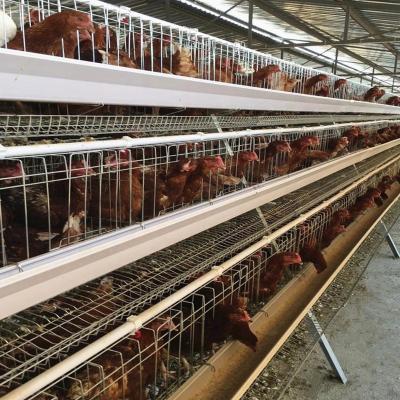 China Automatic Layer Chicken Cages Type 3 Layers Egg Chicken Battery Cage/Chicken Egg Laying Hens Cage Poultry Cage For Sale for sale