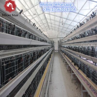 China Animal Husbandary Husbandary Animal Equipment Chicken Cage One Type 4tier 5door Cage Chicken Layer for sale