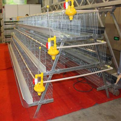 China Good Quality Automatic Full Automatic Chicken Equipment A Type Poultry Cage for sale