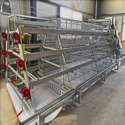 China Automatic Broiler Chicken Cages New Design Cheap Broiler Cage Automatic Chicken Cage A Type System for sale