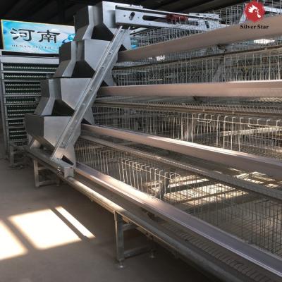 China Automatic Farms Poultry Farm Design Layer Chicken Breeding Cage for sale