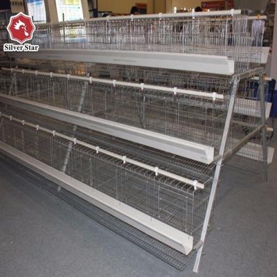 China China Automatic Chicken Cage Automatic Chicken Breeding Cage Manufacturer/Factory for sale