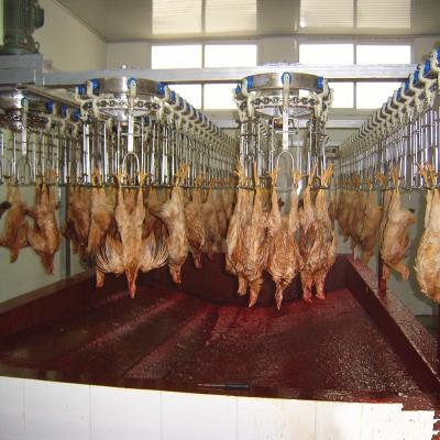 China 500bph Capacity Chicken Slaughtering Equipment Poultry Slaughtering Equipment Small/Halal Meat Slaughtered Whole Chicken for sale