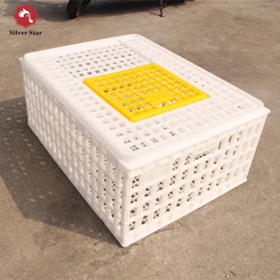 China Farms Products Poultry Chicken Transport Cage Plastic Live Chicken Transport Cage for sale