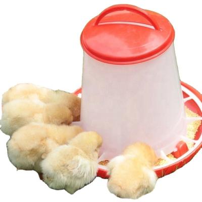 China Plastic Bird Chicken Feeders Poultry Farm Bird Chicken Feeders Barrel Feeder For Sale for sale