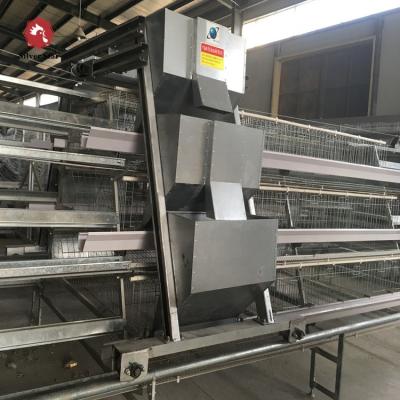 China Automatic Poultry Egg Production Equipment Egg Collecting Machine For Chicken Layer House Shed for sale