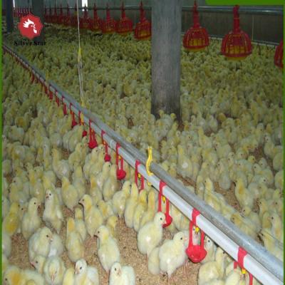 China Farms Plastic Floor System Poultry Broiler Raising Equipments for sale