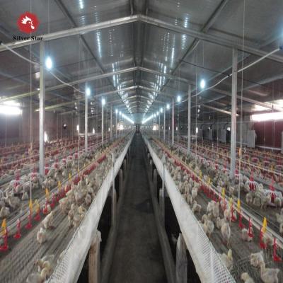 China Farm Steel Structure Design Poultry Shed With Automatic Feeding System for sale