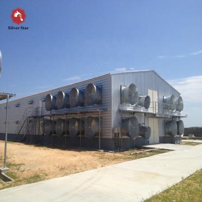 China Hotel Building Structure Light Steel Fabricated Chicken House Used For Layer And Broiler Cage Equipments for sale