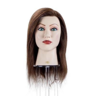 China Hair Cut 16 Inches Brown 100% Female Hair Mannequin Head Training Doll Head Can Be Used By Hairdressers for sale