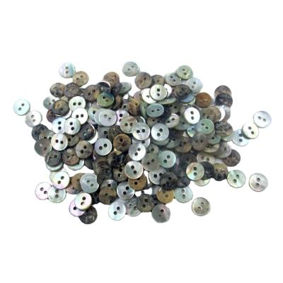 China Japanese Natural Dry Cleaning 2 Hole Agoya Shell Button Akoya Shell Buttons for sale