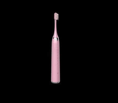 China Best Battery Operated Competitive Price Electric Toothbrush Recharger Automatic Modern Electric Toothbrush for sale