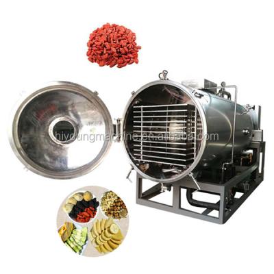 China microwave freeze dryer / heat pump dryer machine / vacuum freezing drying machine for sale