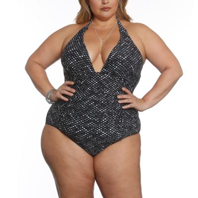 China Breathable V-Neck Plus Size Halter Tie Back Swimwear Tummy Control One Piece Beachwear for sale