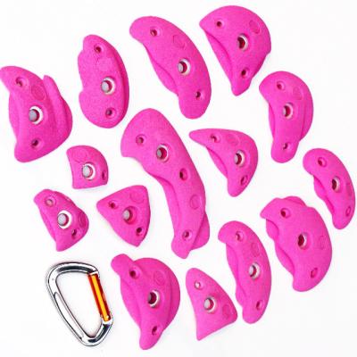 China Indoor Resin Rock Climbing Holds For Climbing Wall XL for Children and Young Adults for sale