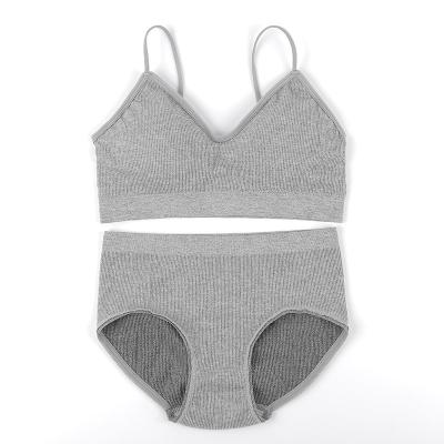 China 2021 Seamless New Design Seamless Bralette Sets Small B Cup Women Letter Brand Push Up Sexy Bra And Panties Bra And Brief Sets for sale